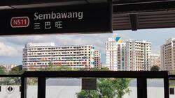 Blk 309 Canberra Road (Sembawang), HDB Executive #406910061